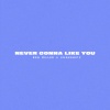 Bea Miller、Snakehips《NEVER GONNA LIKE YOU (Clean Version)》[MP3/LRC]