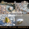 The Lorax - Slouching in Your Downtekno