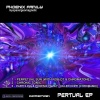 Phoenix Family - Perpetual Sun (Original Mix)