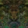 JaguarTree - Akashic Records (Original Mix)