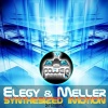 Meller《Synthesized (Elegy Remix)》[MP3/LRC]