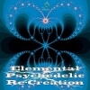 Frost Raven - Points of Interest (Elemental Remix)