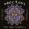 Necton - The Hopi Prophecy (Original Mix)