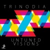 Trinodia《Untuned Visions (Original Mix)》[MP3/LRC]