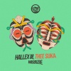 Hallex M、Thee Suka - Mborere (Melodic Mix)