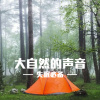 晚安 - 安静的丛林