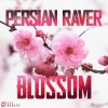 Persian Raver - Blossom