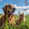 Amor aéreo、Mascotas、Música para Mascotas - Melodía Juguetona Para Mascotas