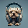 Dog Calming Music、Olivia Rain、Rain Sound - Calm Puppy Melodies