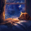 Música al por menor、Amante de las mascotas TA、Música de mascotas relajante - Las Noches Tranquilas De Las Mascotas