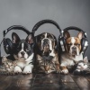 Earth Art、Rainy Day Music、ANCIENT RAIN - Relaxing Companion Harmony