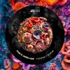 Pablo Arbelaez - Fungus (Radio Edit)