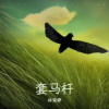 林紫云 - 套马杆