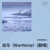 夏晓妍Y - 战马 (War Horse)