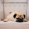 Dog Calming Music、Dog Relaxation、Jack Christiansen《Tranquil Melodies (Loopable, No Fade)》[MP3/LRC]