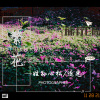 姓孙心松 - 三行情书 (姓孙心松 remix)