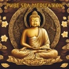 Spa Music & Meditation Collective、Yoga Music Spa、Feel the Joy《Pure Spa Meditation》[MP3/LRC]