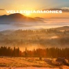 Zee Geluiden、Natuurgeluiden、Dromerige Natuurgeluiden - Velvet Echo (Loopable, No Fade)