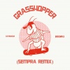 DJ Hybrid《Grasshopper (Sempra Remix)》[MP3/LRC]