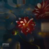 Nesa Azadikhah - Levitate