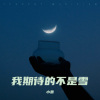 小萧 - 我期待的不是 雪