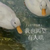 夏天不吃糖 - 我也渴望有人哄