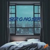 BDM - SER o no SER