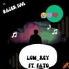 Razer Ivvi、Fato - Low-key
