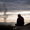 DJ辉仔 - 你给的温柔无可替代