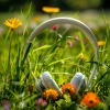 Deep Music、Chill Out Time Consort、Calm Solitude - Ponder Silent Thoughts