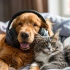 Zen Soothing Sounds of Nature、Cold Avenue、Wild Weather - Harmonic Companion Vibes
