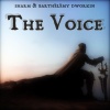 Sharm、Barthélémy Dworkin - The Voice (feat. Barthélémy Dworkin)