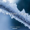 Stardust Vibes《Arctic Trees》[MP3/LRC]