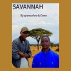 Dj Spenza BW、Daro - SAVANNAH