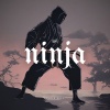 Lofi Ninja - Mellow Echo