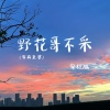 宋柱福 - 野花哥不采 (哥有老婆)