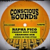 Rapha Pico、Dougie Conscious - Change Must Come