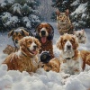 Pet Comfort、My ASMR Moments、Pet Rest Music - Pets' Cozy Corner