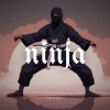 Lofi Ninja - Beginner's Path