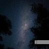 Night Sounds、Cricket Sounds、Sounds of Nature Zone - Night Music
