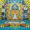 Cambium《Abstract Beauty (Original Mix)》[MP3/LRC]