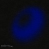 GARZI、Lil Lotus - Much Better (Unplugged)