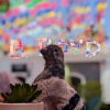 B. Boyd - Bass & The Kick