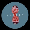 Bruce Zalcer - Sentry (Original Mix)