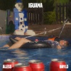 Aless、baylo、GALA & FlexSaidi - IGUANA