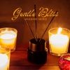 Massage Music - Silent Reflections