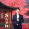 王振宇 - 落花一地红