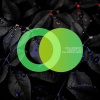 Helen&Boys、Avrix - A Beautiful Life