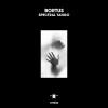 Bortus - Spectral Tango (Extended Mix)