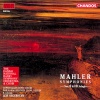 Danish National Radio Symphony Orchestra、Leif Segerstam、Gustav Mahler - I. Adagio
